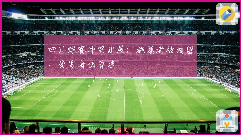 四川球赛冲突进展：施暴者被拘留，受害者仍昏迷
